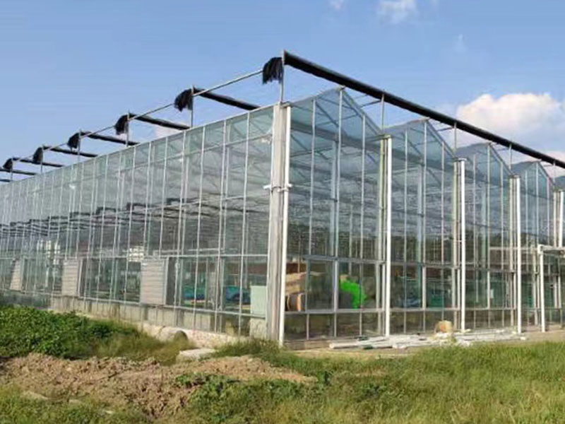 metal frame greenhouse for sale